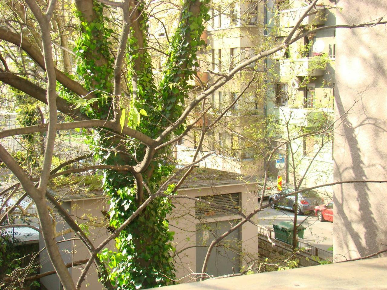 My Sun Apartment ริเยกา ภายนอก รูปภาพ